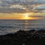 Cambria_0221 (November 05, 2011)